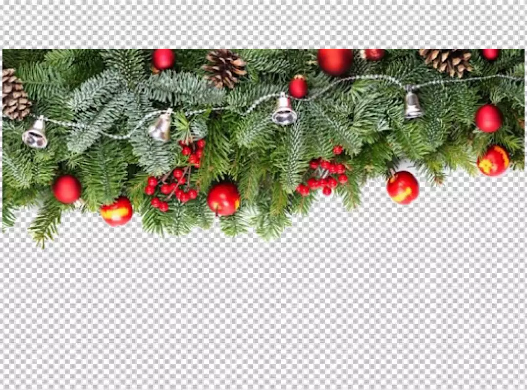 Free Premium PNG Cute christmas flowers transparent background 