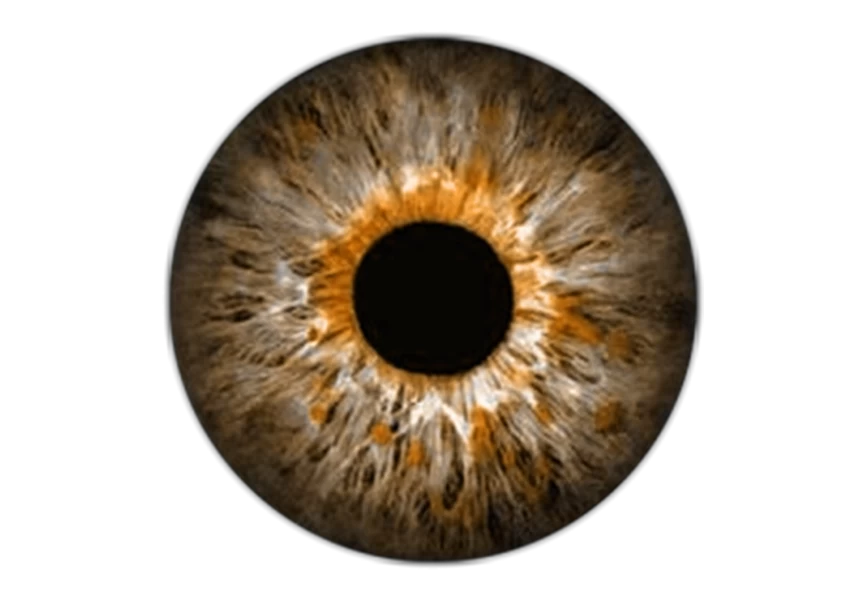 Free Premium PNG Realistic image of an eye Iris cornea retina with luminous flash Brown eye 3d illustration