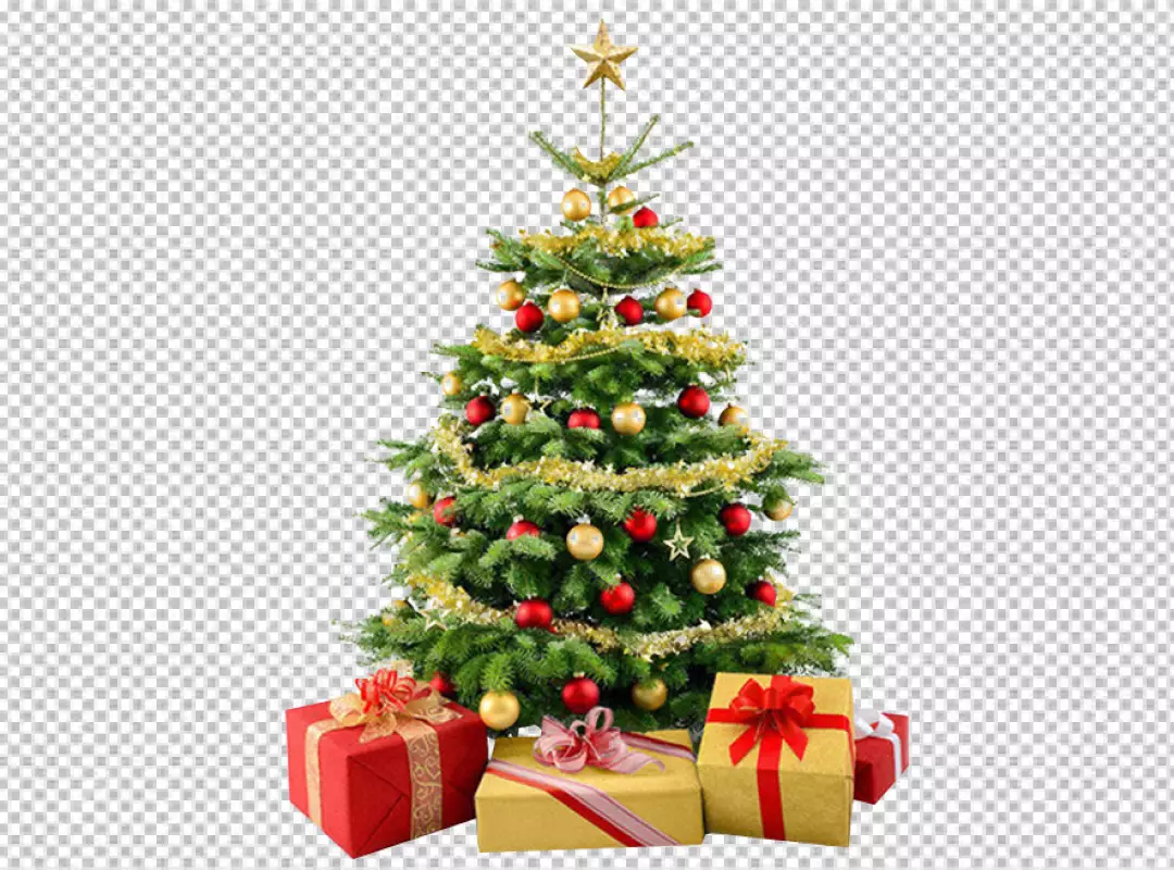 Free Premium PNG A christmas tree with a star on it isolated PNG BG