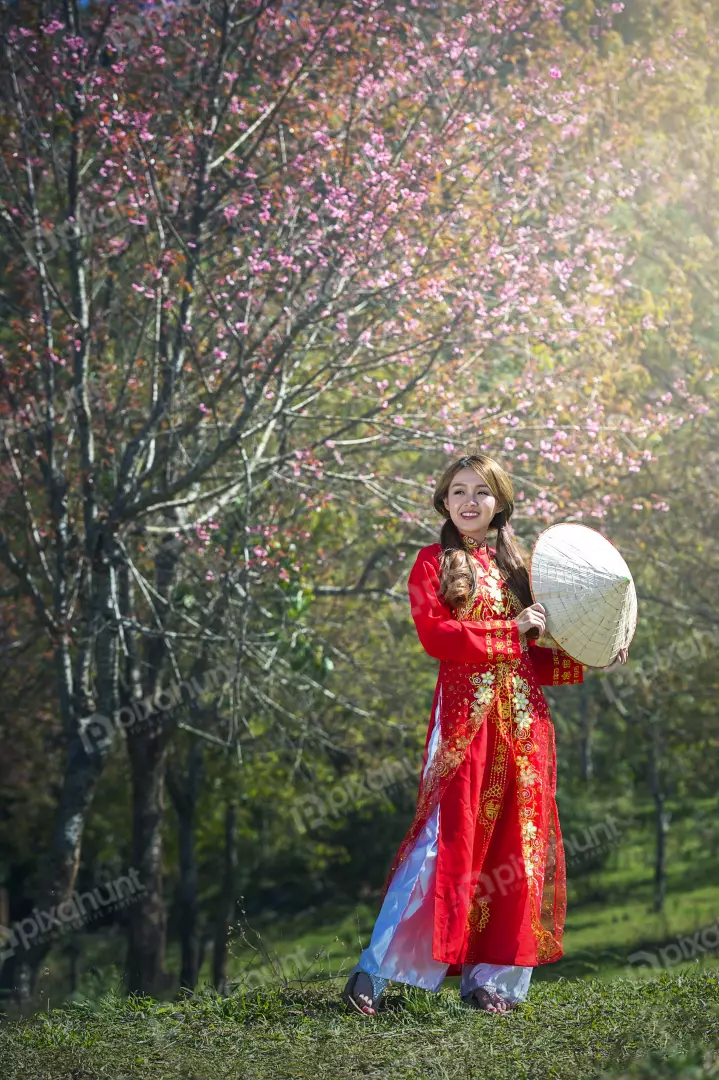 Free Premium Stock Photos Woman wearing a traditional Vietnamese dress called an ao dai and standing in a field of flowers whit the sun is shining brightly