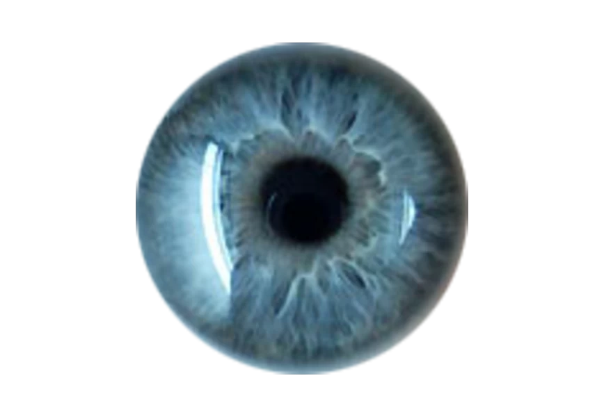 Free Premium PNG Human eye isolated on a transparent background Realistic Eyeball with a blue retina closeup