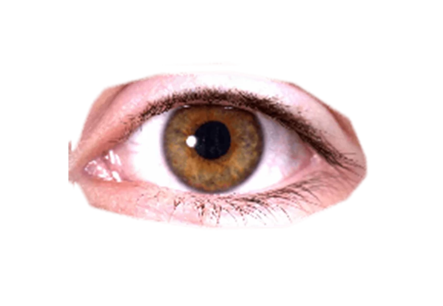 Free Premium PNG Eye Close up photo png