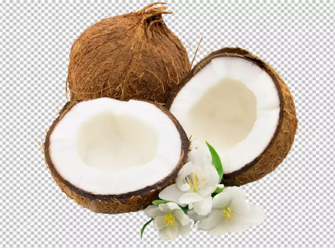 Free Premium PNG PNG Piece of coconut isolated on transparent background