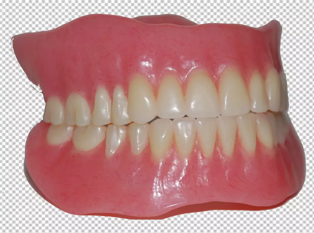 Free Premium PNG a set of dentures