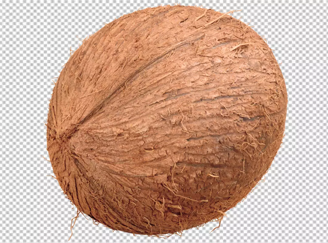 Free Premium PNG Top view of half brown and fresh coconuts PNG