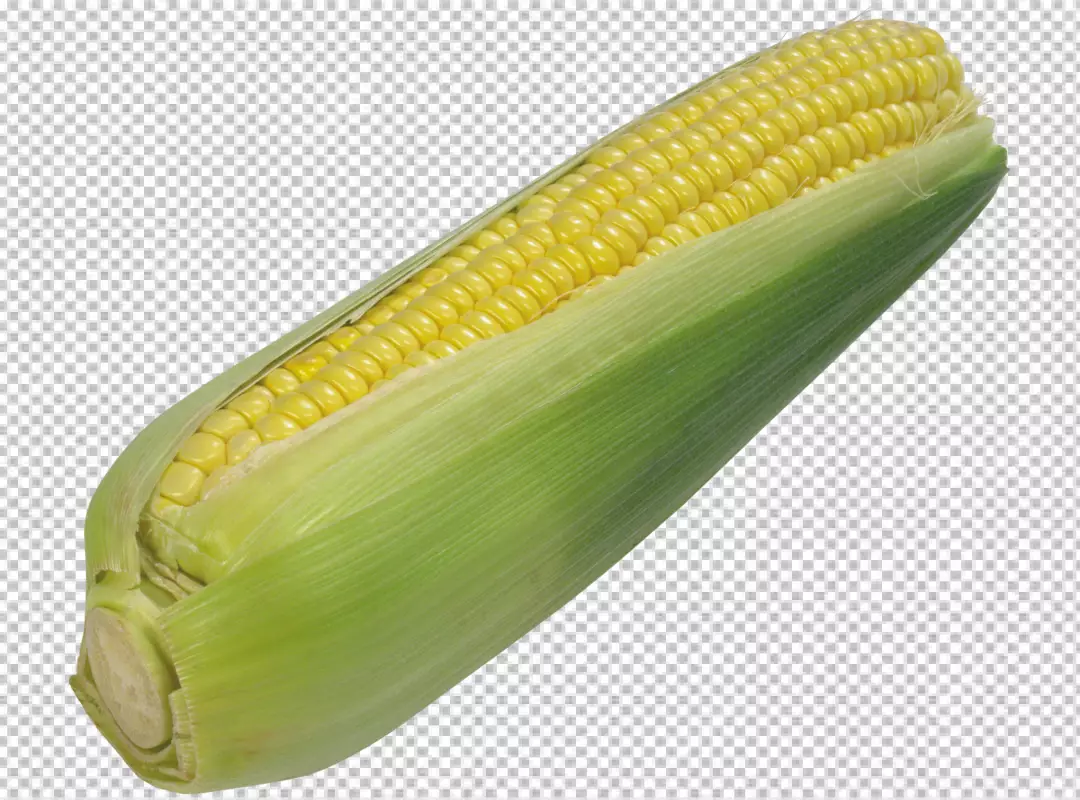 Free Premium PNG Close up on fresh corn ready to eat PNG