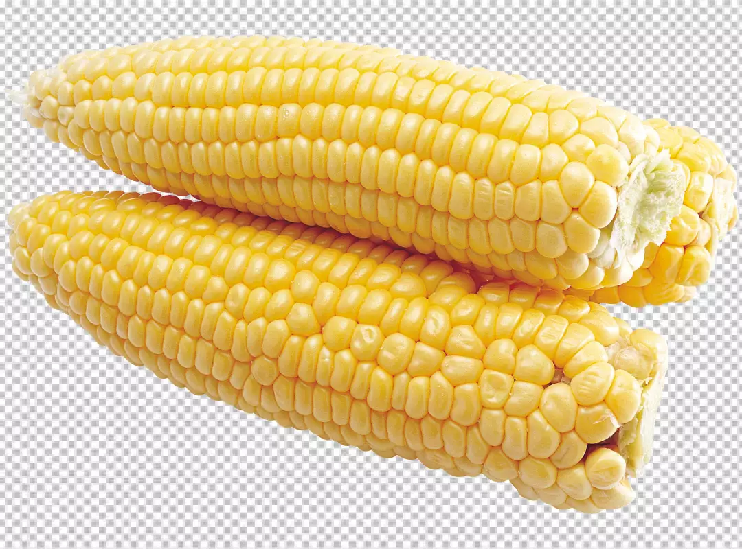 Free Premium PNG corn on the cob on transparent background PNG