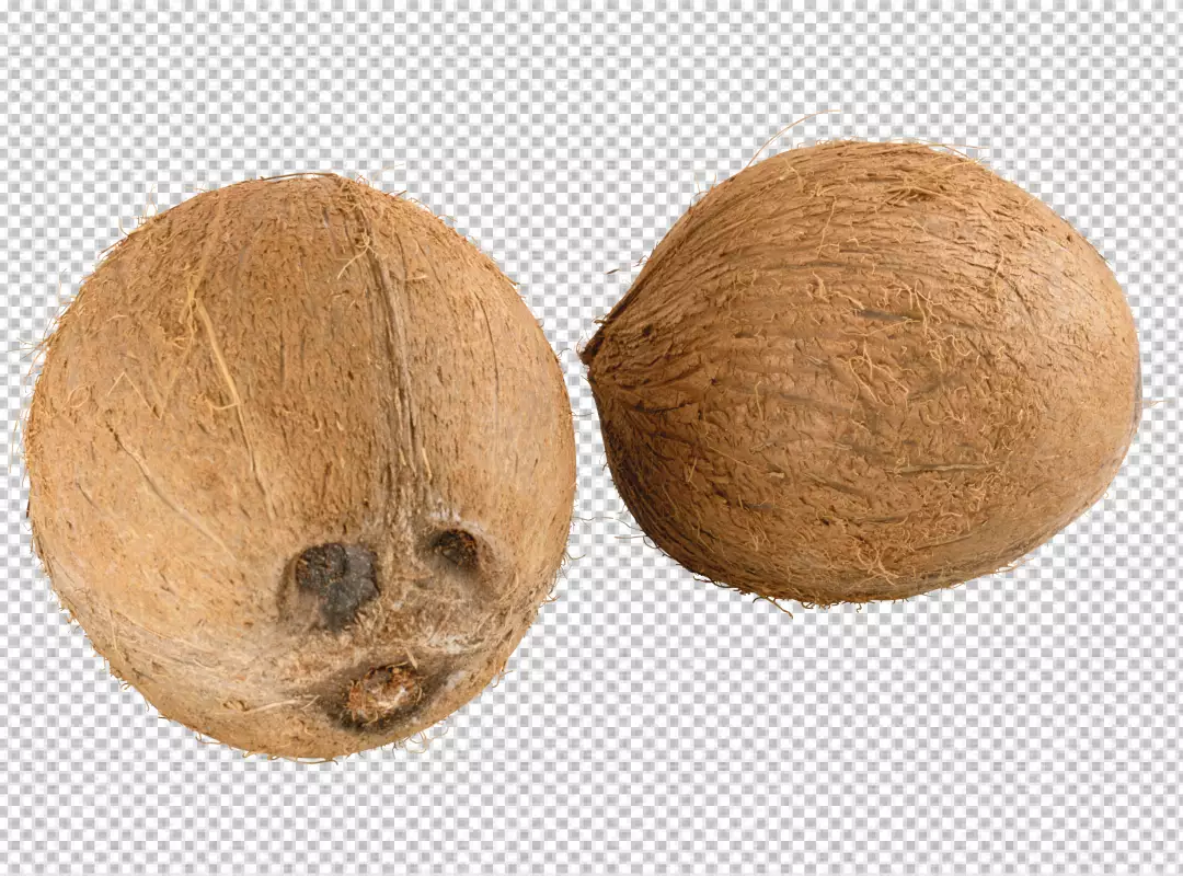 Free Premium PNG PNG  top view coco nuts sliced milky fresh