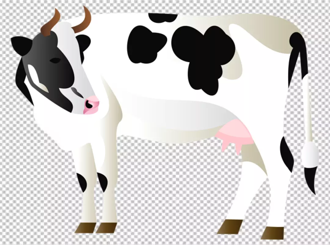 Free Premium PNG Profile of Holstein Cow on Transparent Background