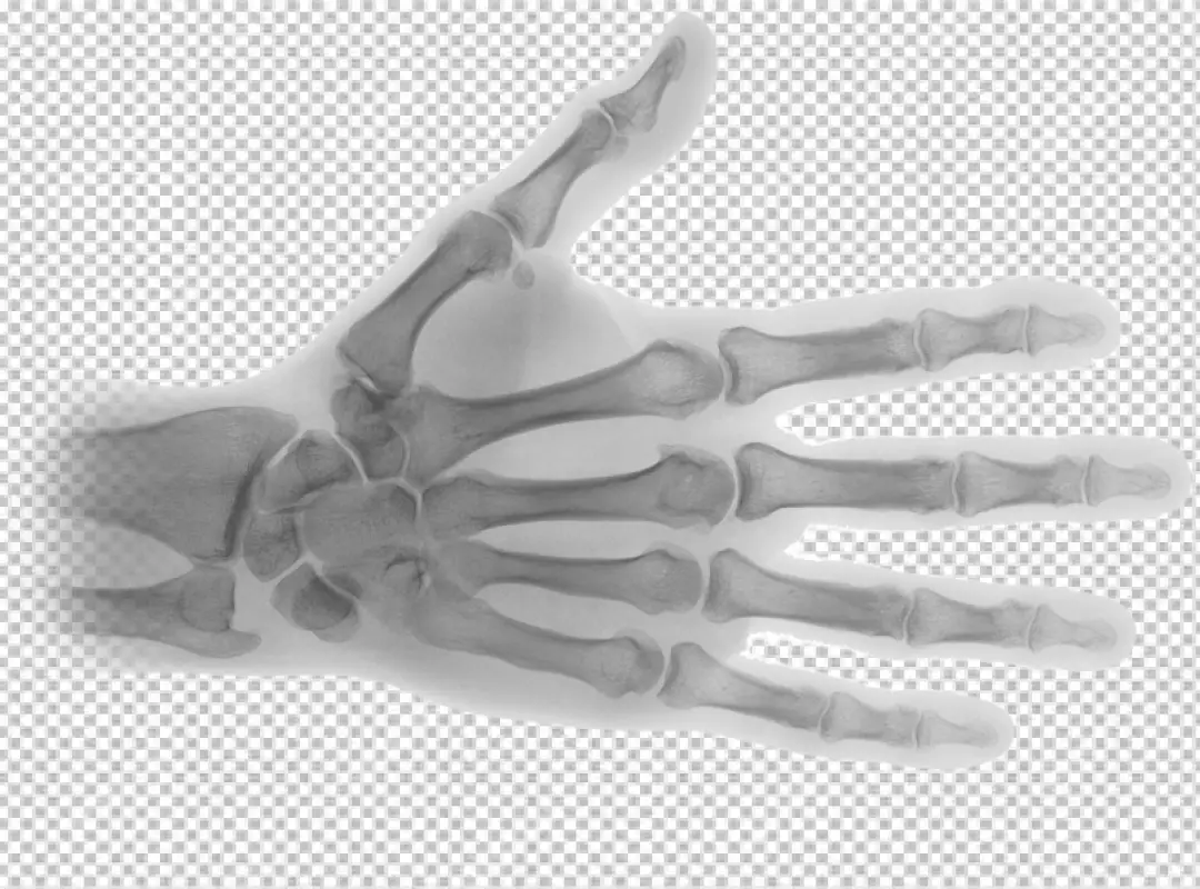 Free Premium PNG X-ray Image of a Human Hand