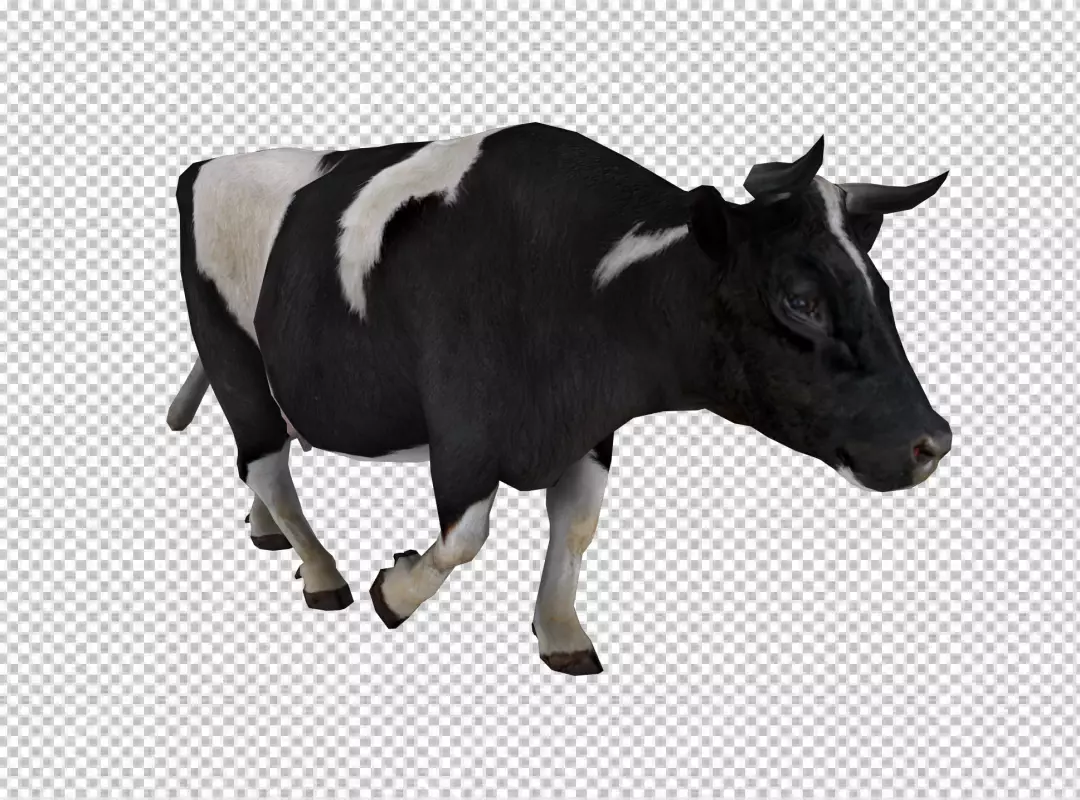 Free Premium PNG Cow cilp art on transparent background