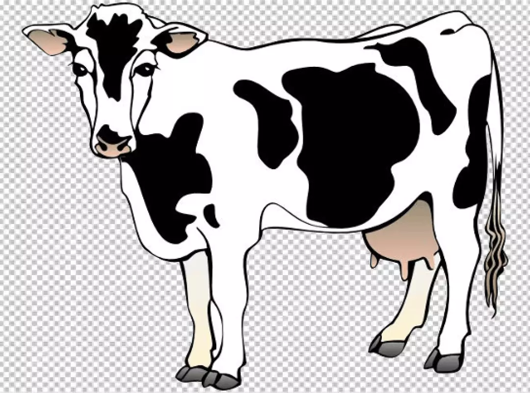 Free Premium PNG Realistic Holstein cow PNG