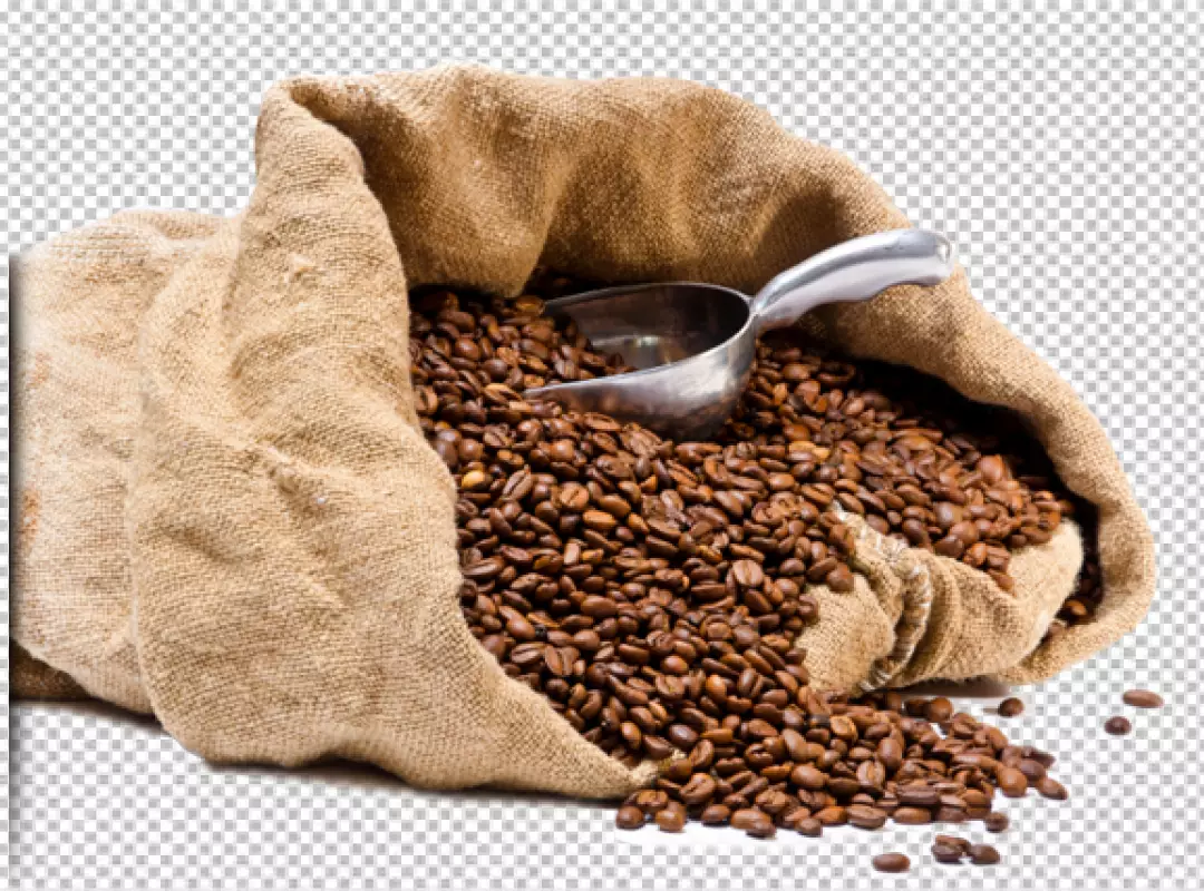 Free Premium PNG PNG Brown Coffee Beans on Transparent