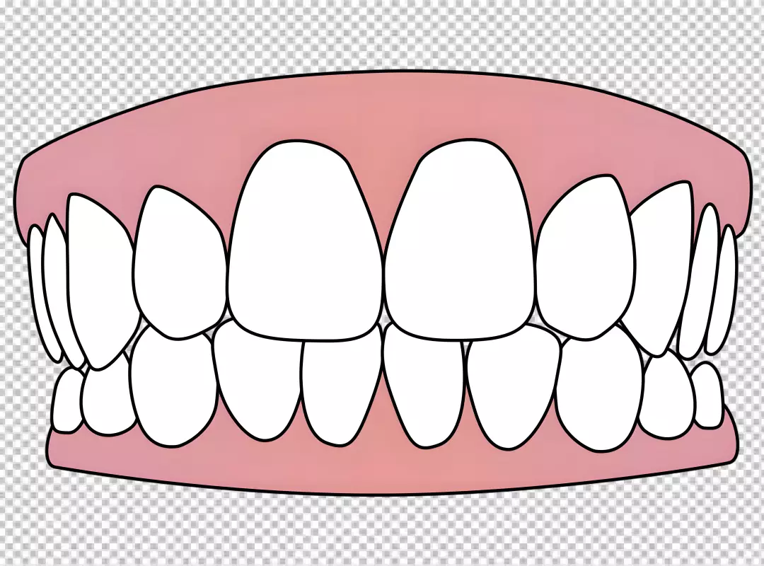 Free Premium PNG a set of teeth in a healthy state