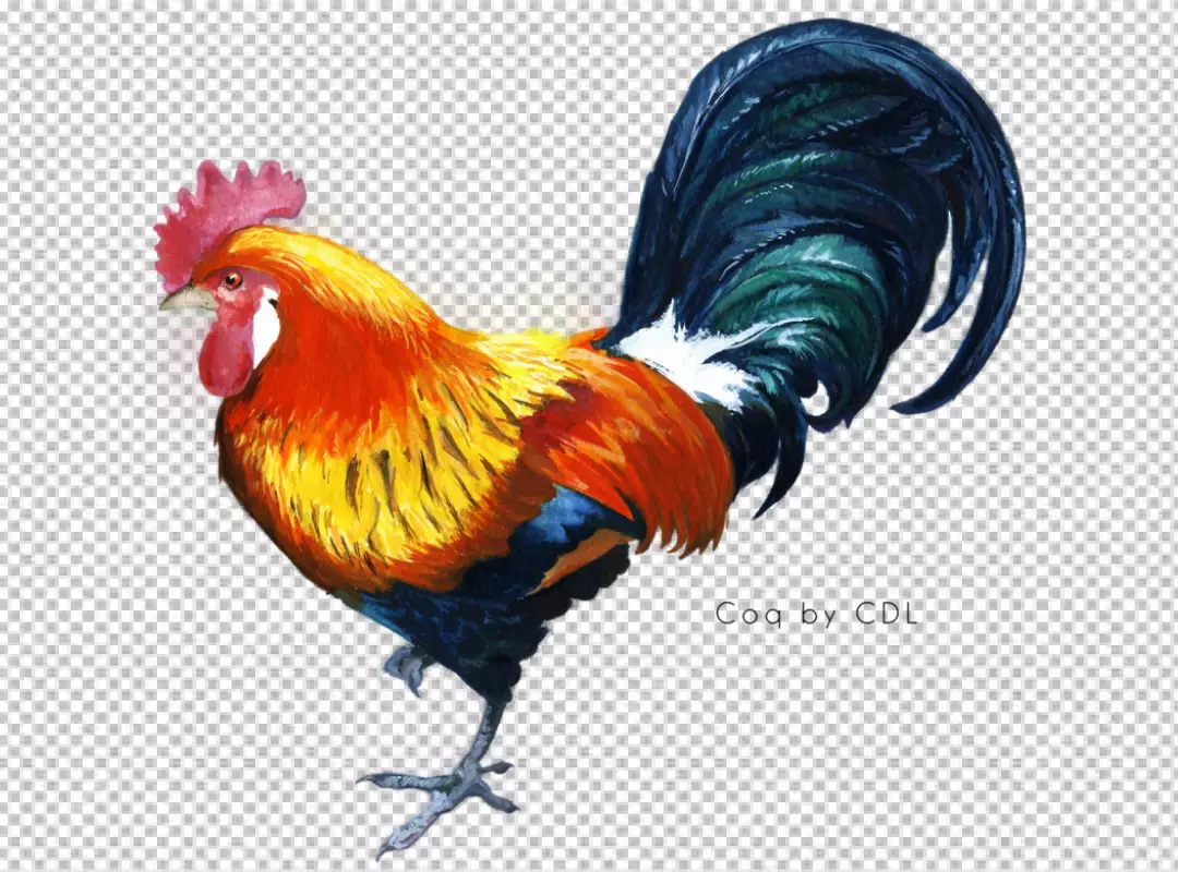 Free Premium PNG PNG Rooster in photorealistic style with beak and feathers