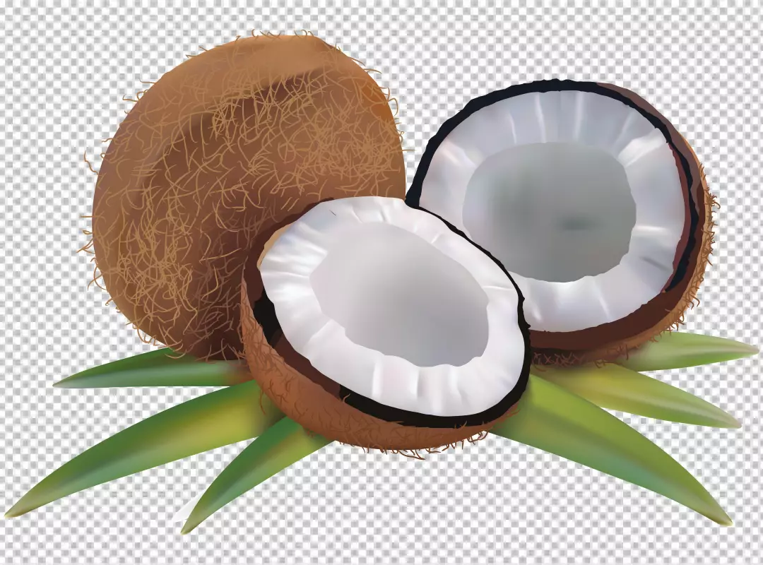 Free Premium PNG PNG Coconut with half and leaves on