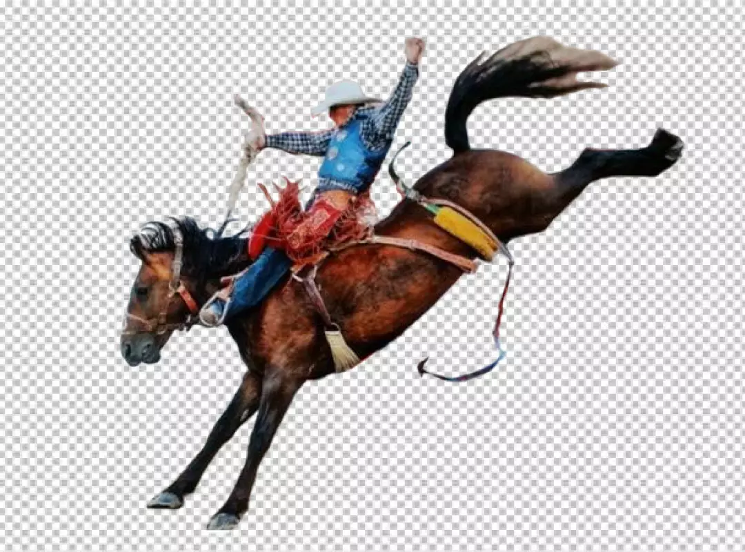 Free Premium PNG Set of cowboy accessories transparent BG