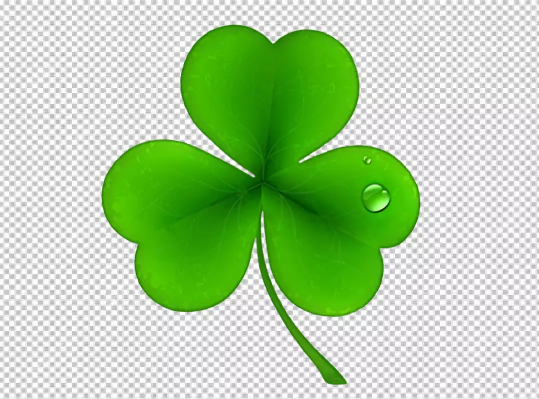 Free Premium PNG Clover leaf transparent background