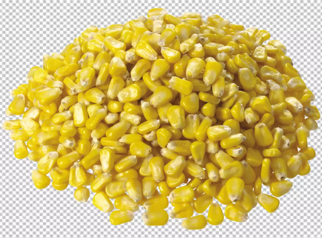 Free Premium PNG Corn open transparent background 