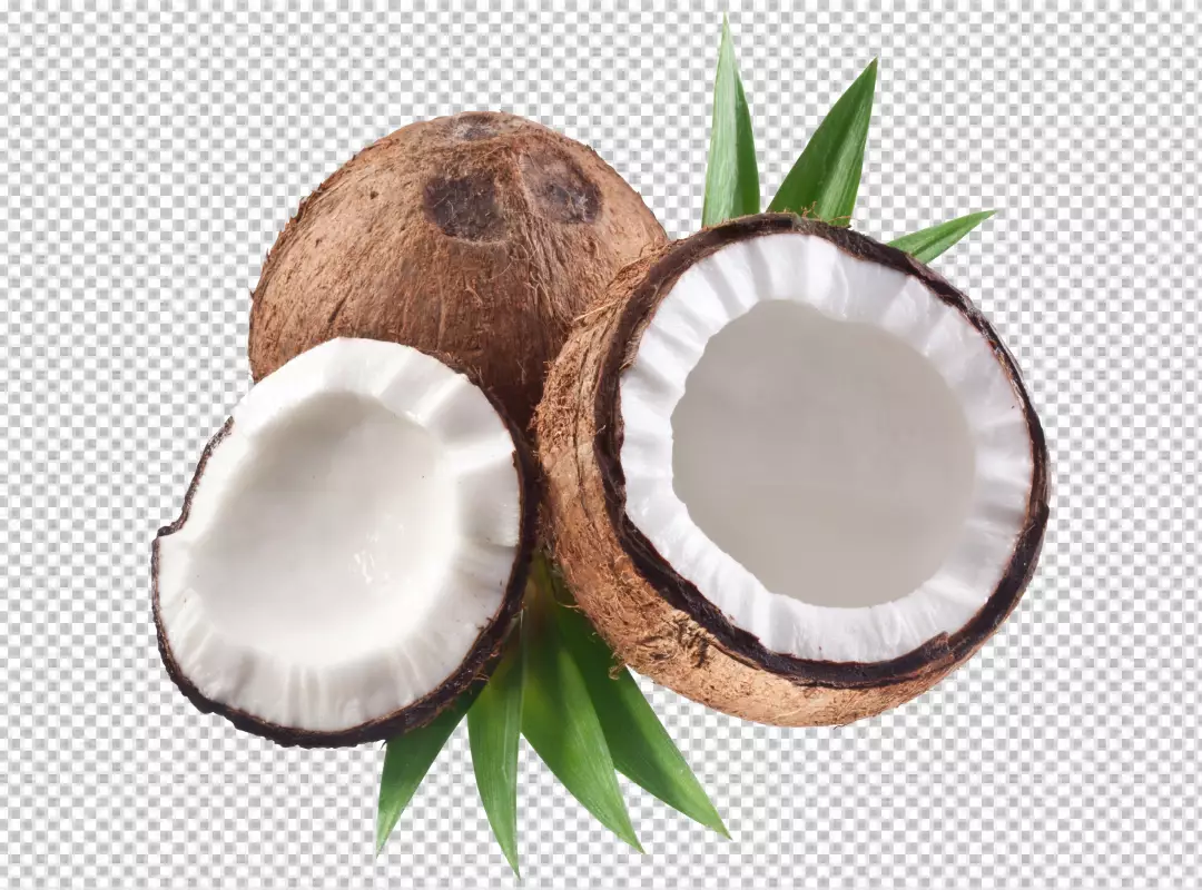 Free Premium PNG Close-up view of coconut concept