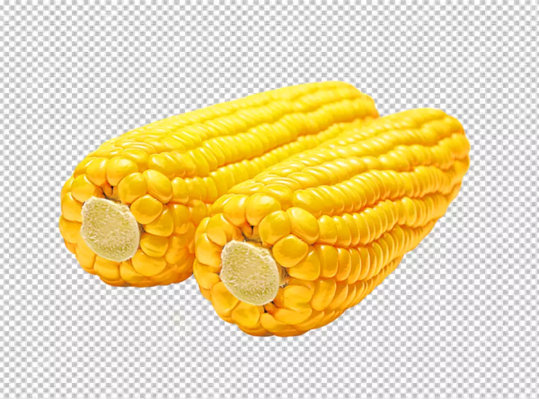 Free Premium PNG corn on the cob on transparent background PNG