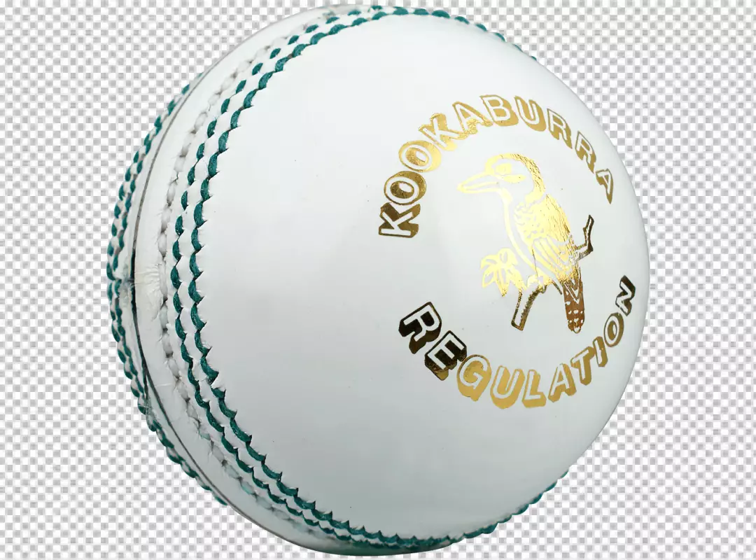 Free Premium PNG Cricket equipment in realistic style PNG