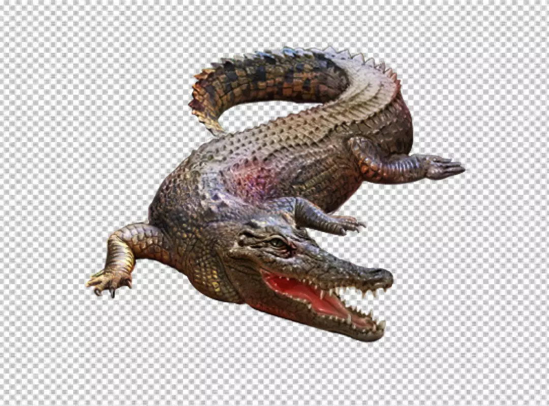 Free Premium PNG Aggressive Crocodile with an open mouth