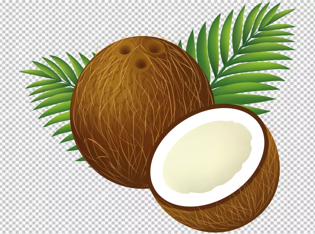 Free Premium PNG PNG Realistic coconut background