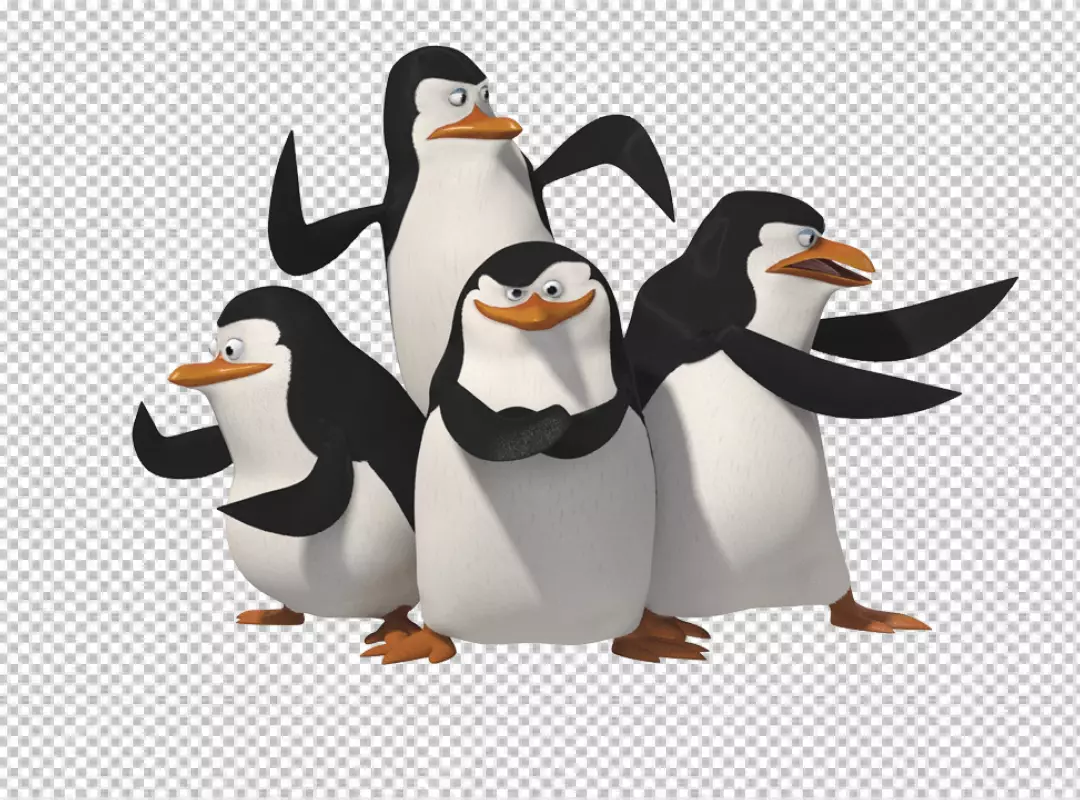 Free Premium PNG penguins of madagascar defense dance