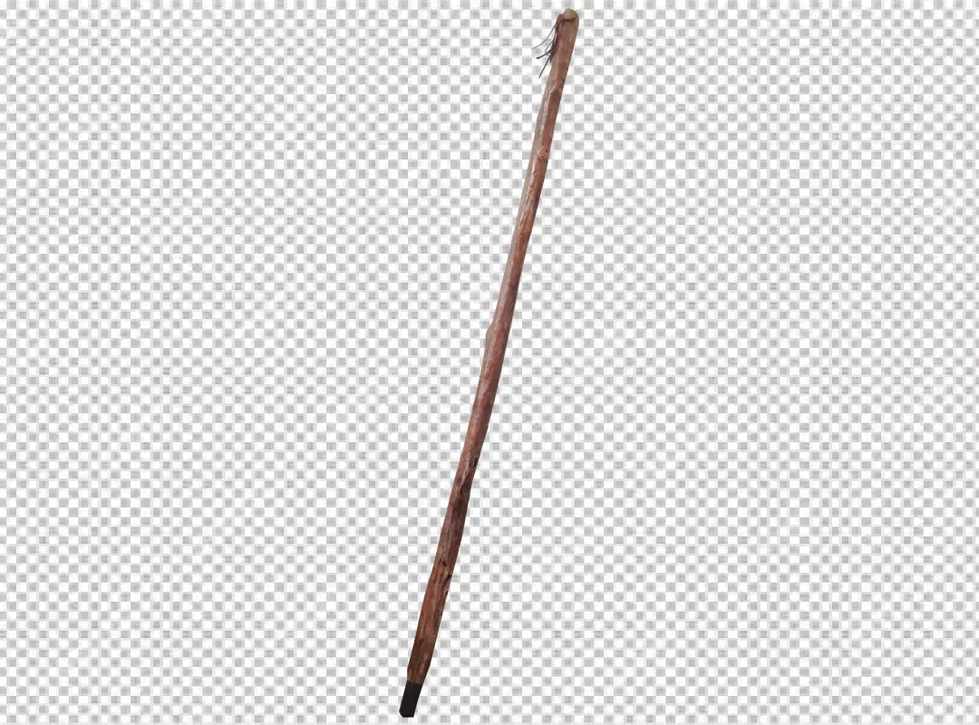 Free Premium PNG Branching walking stick branch twig