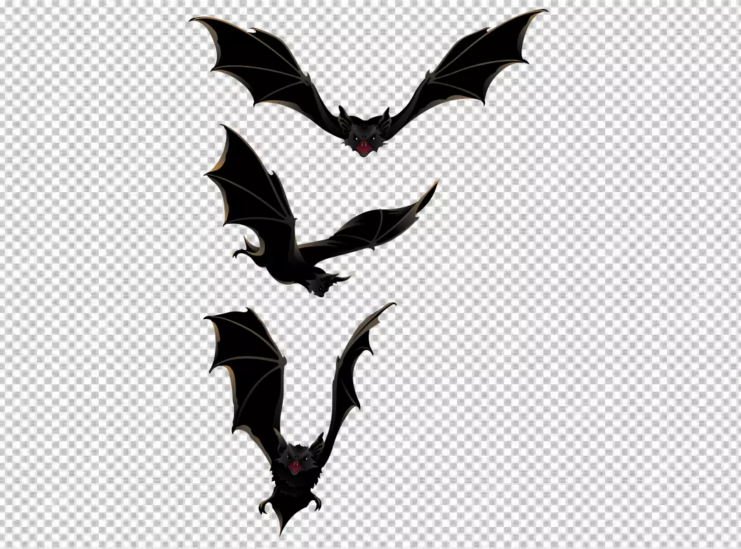 Free Premium PNG Fly bat spooky halloween silhouette black symbol vampire horror