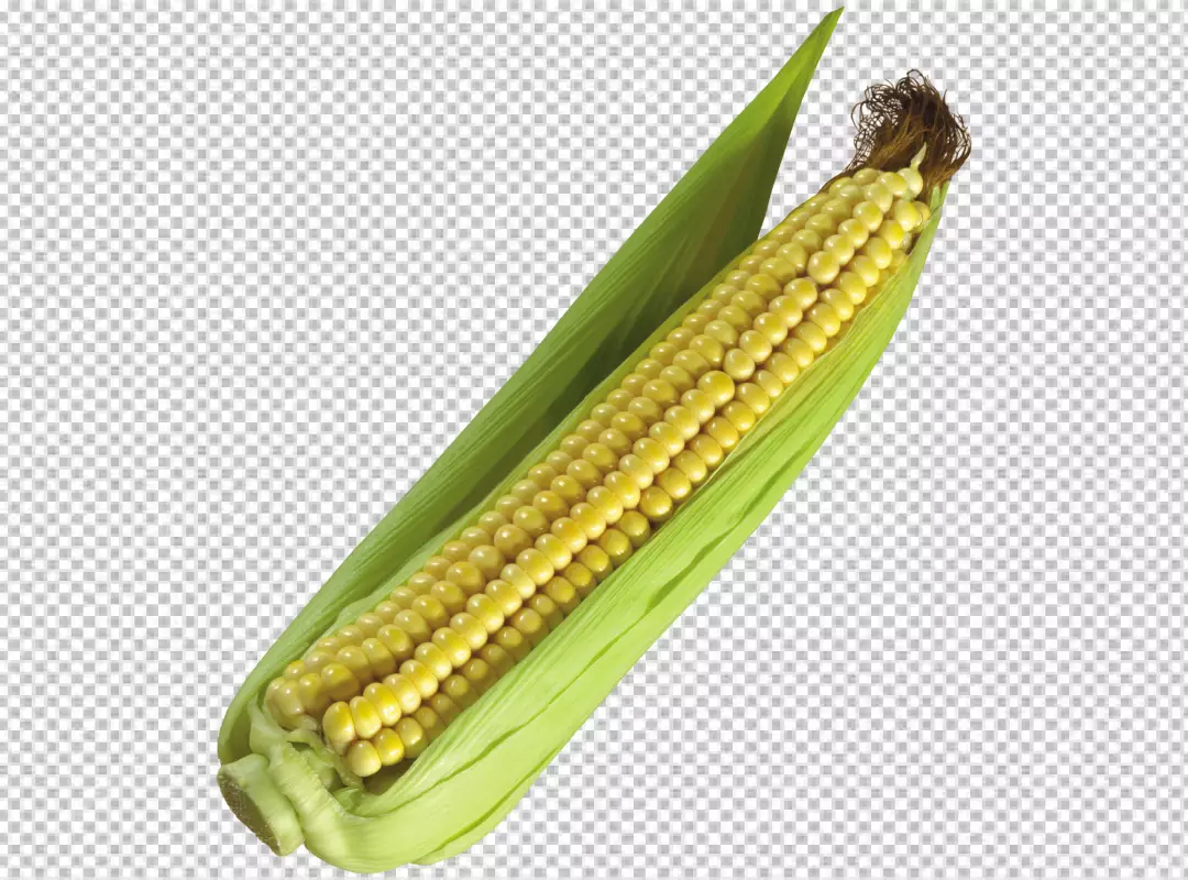 Free Premium PNG Corn isolated on transparent background