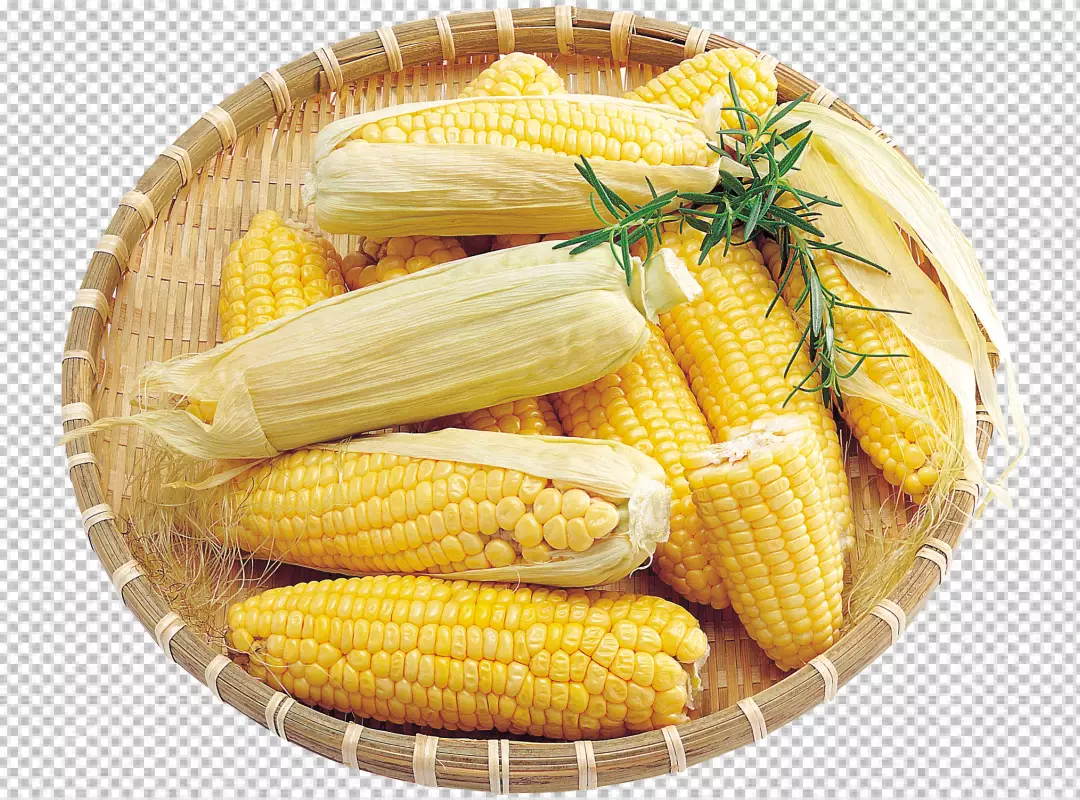 Free Premium PNG A solitary baby corn isolated on transparent PNG