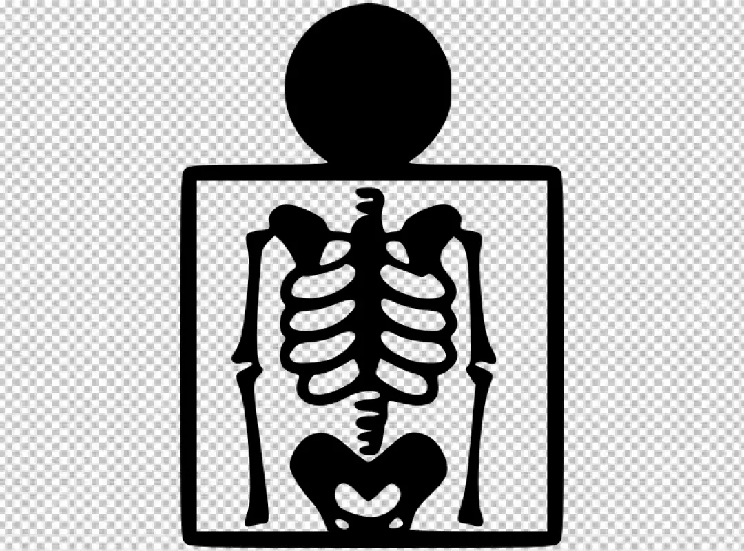 Free Premium PNG X-ray of the Human Thorax