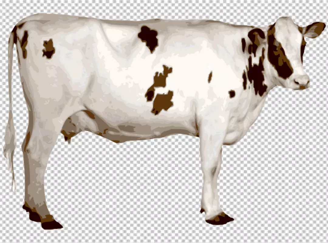 Free Premium PNG  black and white milk cow on transparent background