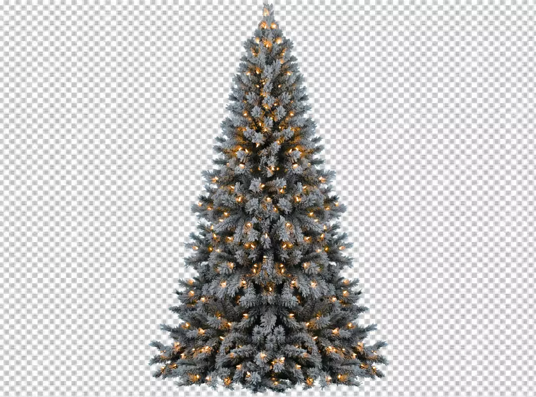 Free Premium PNG A christmas tree with a gold star on it