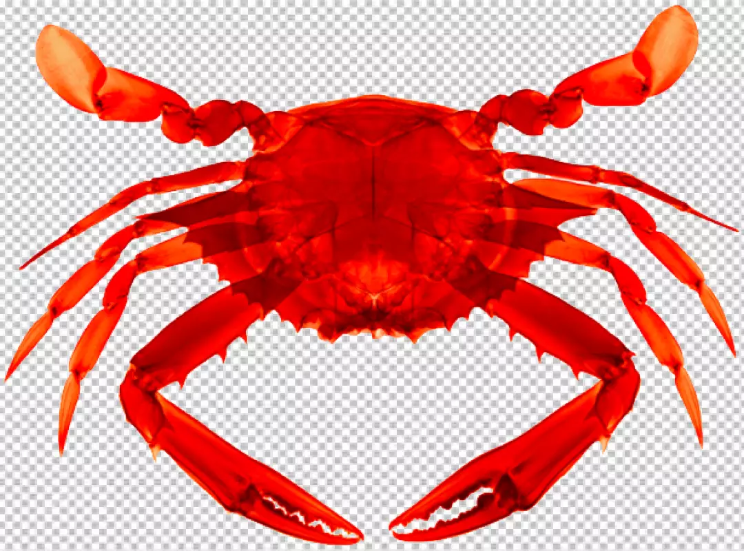 Free Premium PNG Crab fish on transparent background