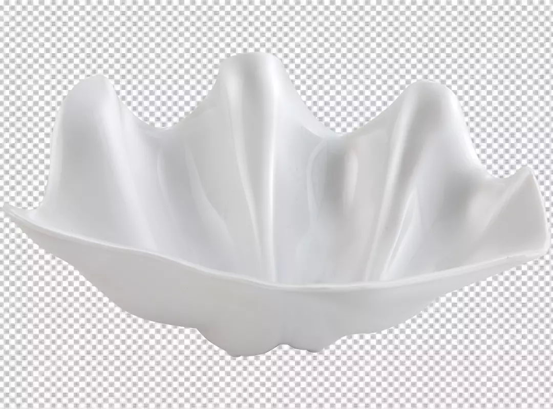 Free Premium PNG PNG white color conch 