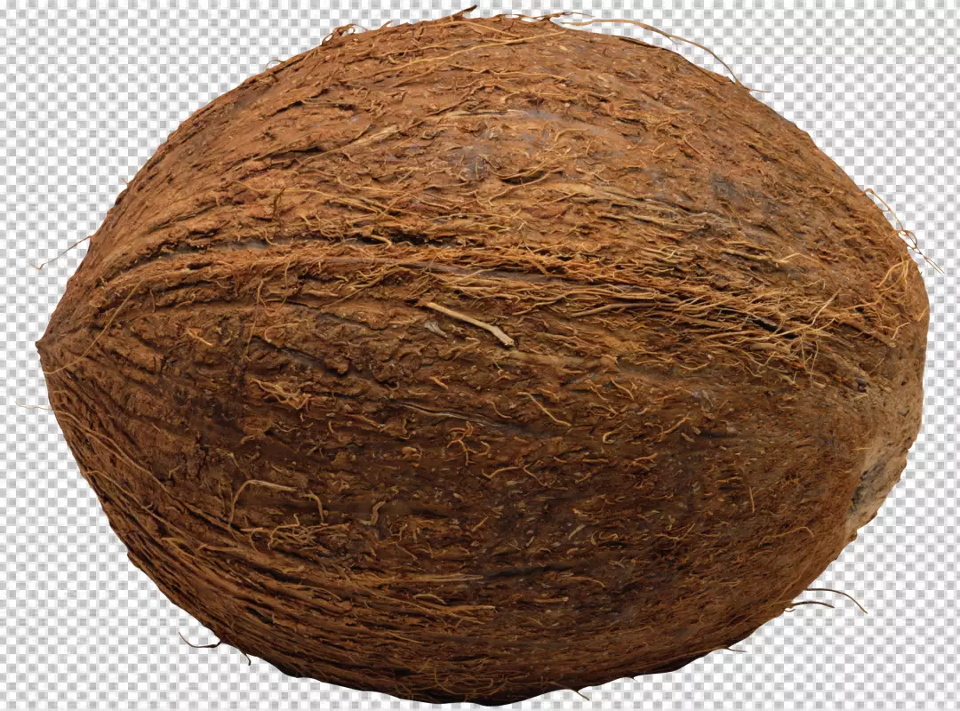 Free Premium PNG PNG Close-up view of coconut