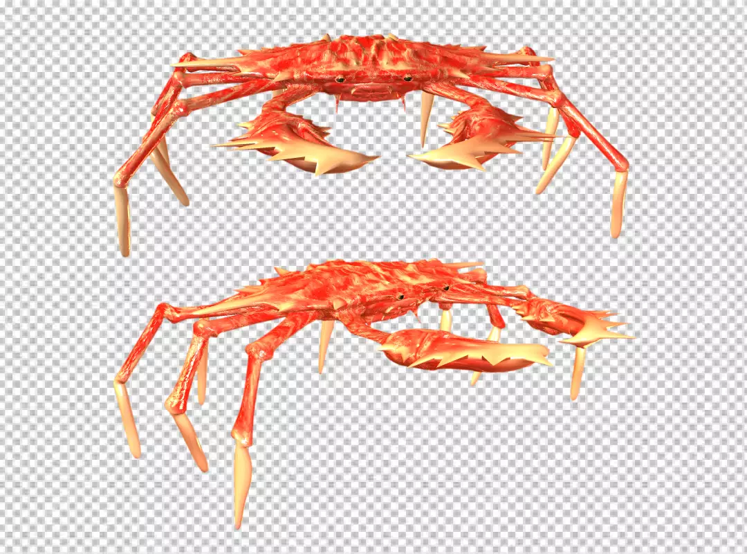 Free Premium PNG View of  crawfish