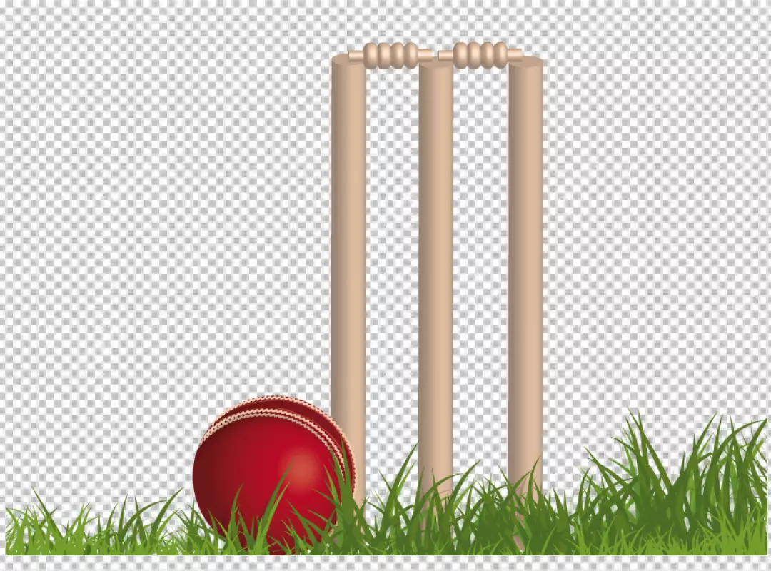 Free Premium PNG Cricket ground on transparent background 