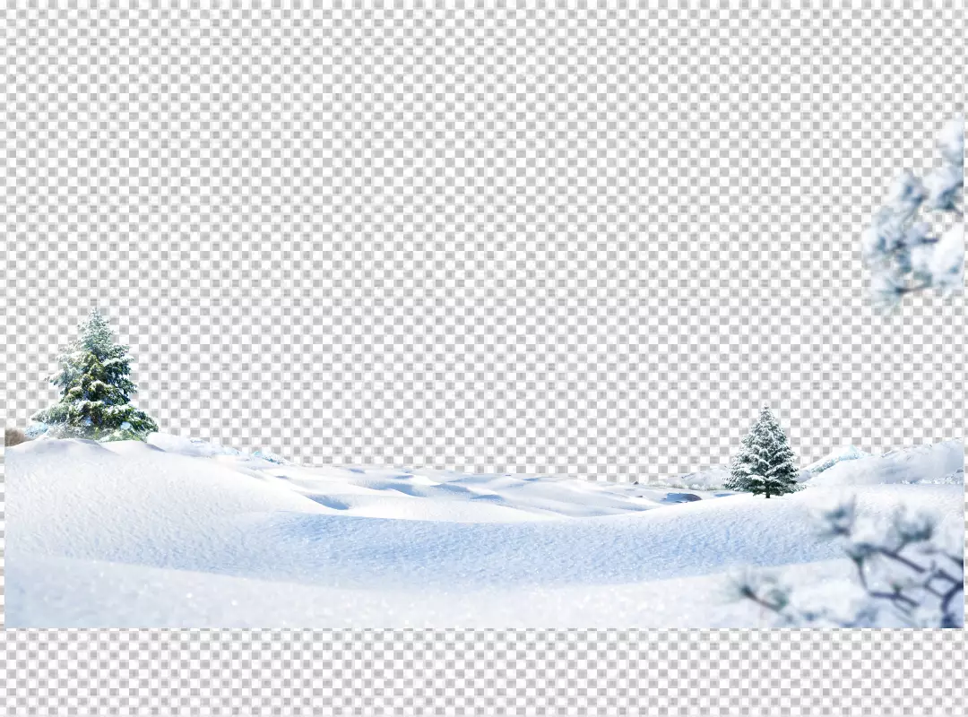 Free Premium PNG Christmas snow and Christmas tree