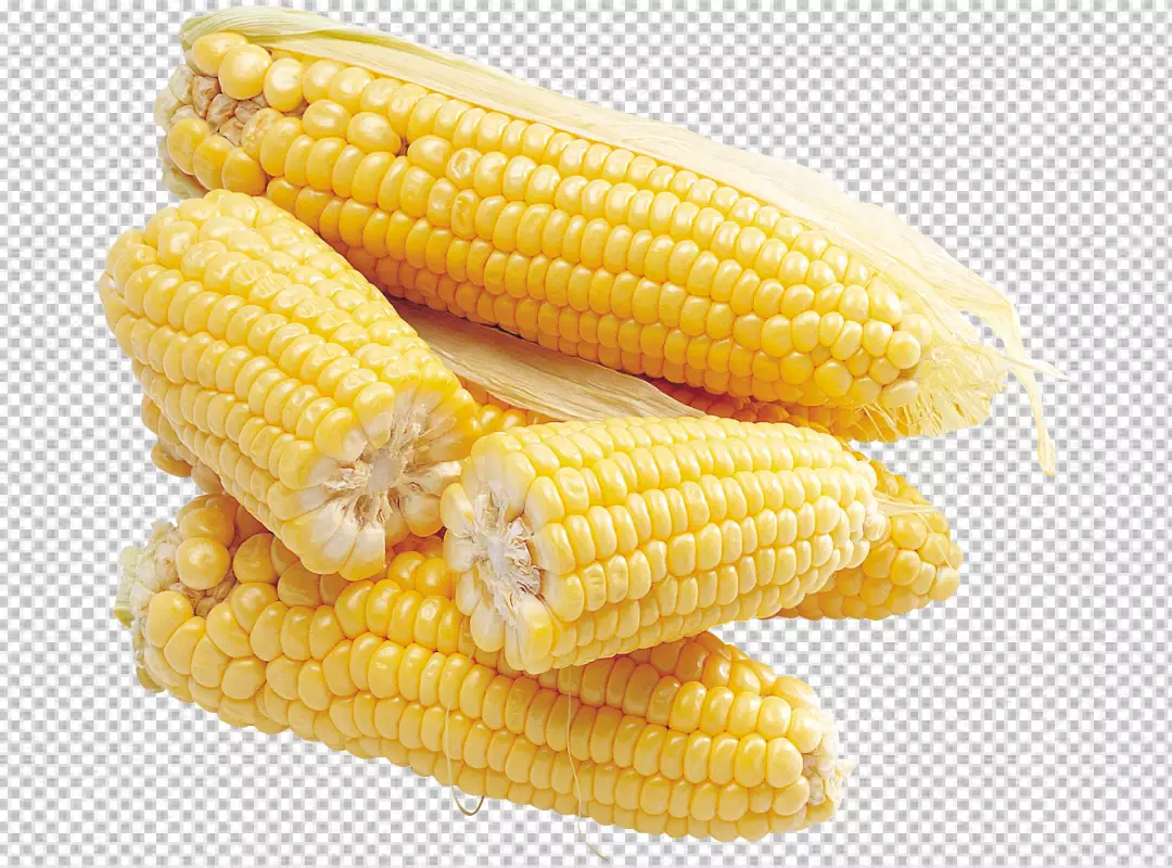 Free Premium PNG Corn isolated on transparent background