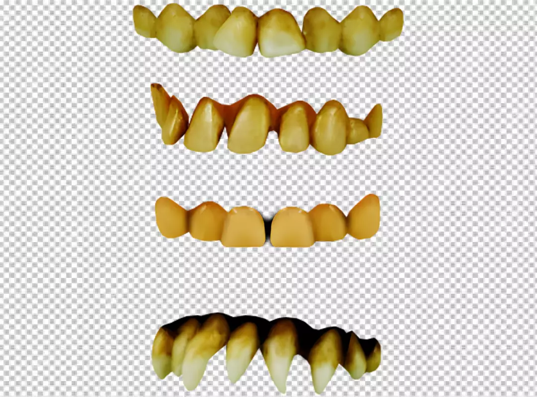 Free Premium PNG a set of four rows of teeth