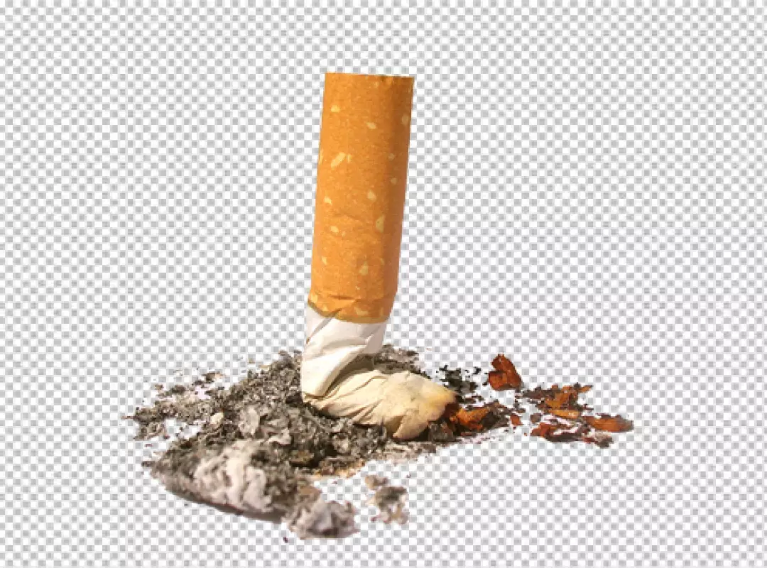 Free Premium PNG Closeup broken cigarette on transparent background