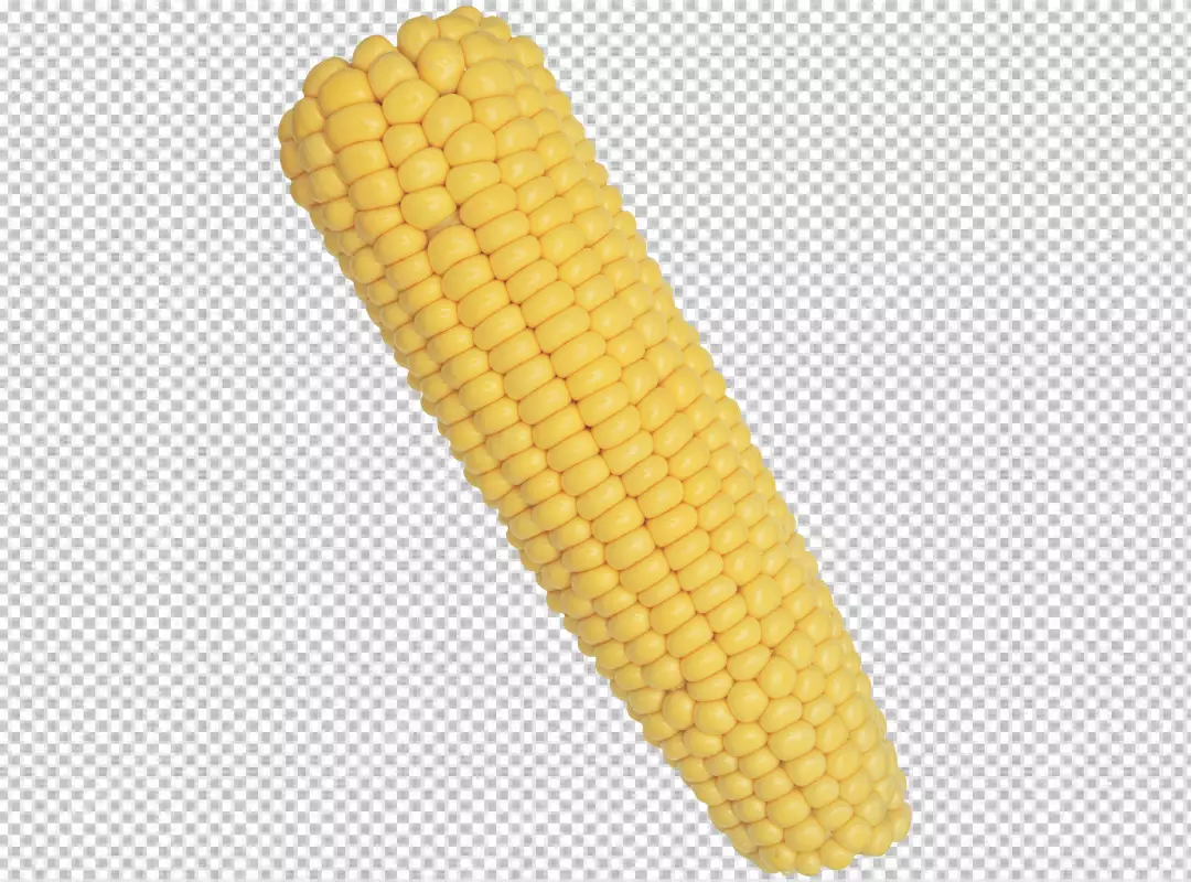 Free Premium PNG op view of corn cobs with corn seeds on