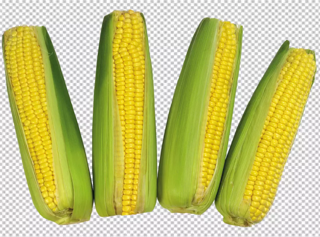 Free Premium PNG Fresh corn composition close PNG