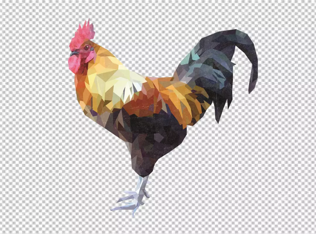 Free Premium PNG PNG Close up on beautiful chicken bg