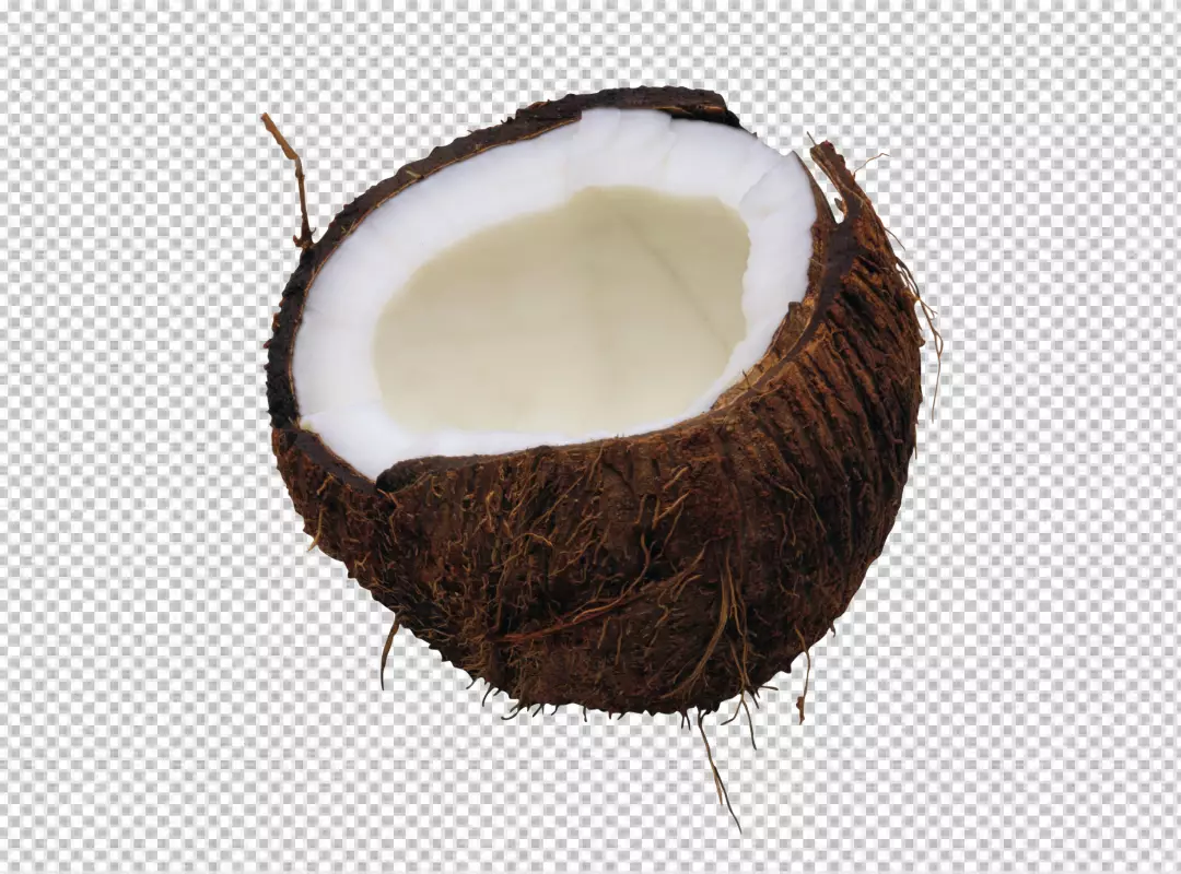 Free Premium PNG PNG Coconut shell on