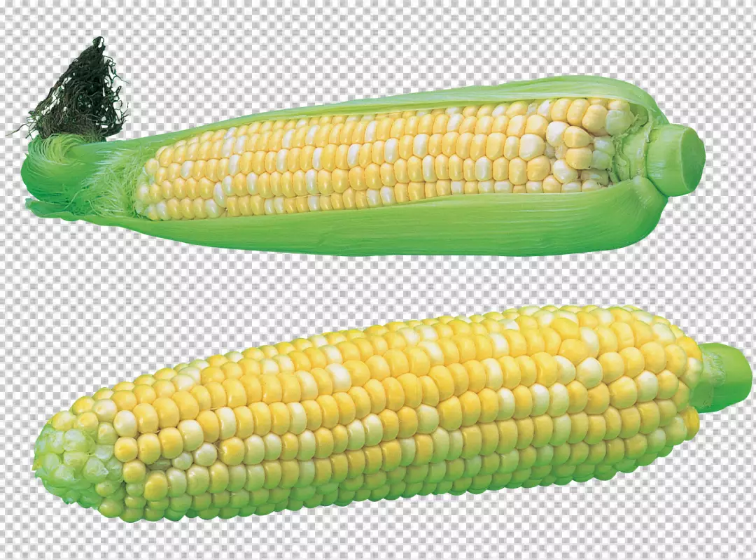 Free Premium PNG 2 cob corn isolated on transparent background PNG